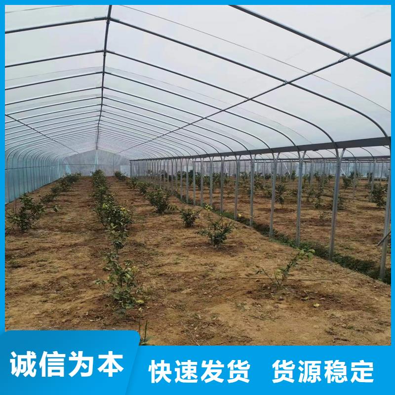 蔬菜水产养殖花卉育苗智能工厂-视频-广元市蔬菜水产养殖花卉育苗智能工厂-【本土】可服务区域朝天|元坝|甘孜|阿坝|宜宾|南充