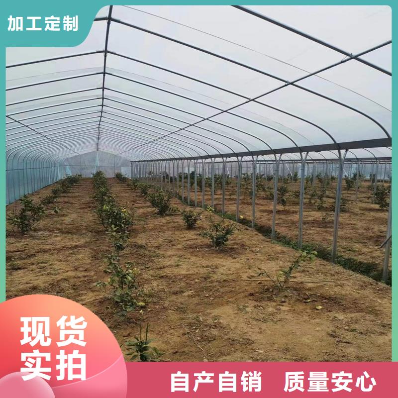 政和县大棚铝合金卡槽配件本地厂家金荣圣温室