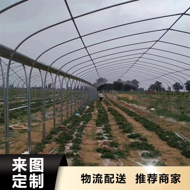 隆化县大棚钢管一亩什么价格良心厂家