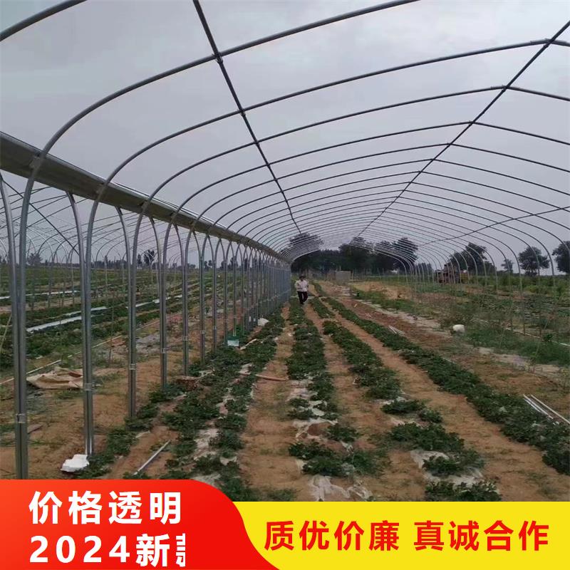 开福区温室连栋大棚12丝薄膜供应商