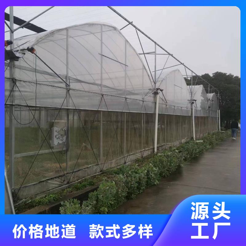 叙永县菌菇木耳大棚黑白膜良心厂家