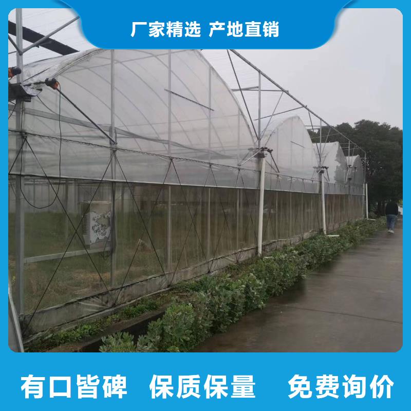 米易县杨梅大棚PO膜工厂直销2025乡村振兴计划