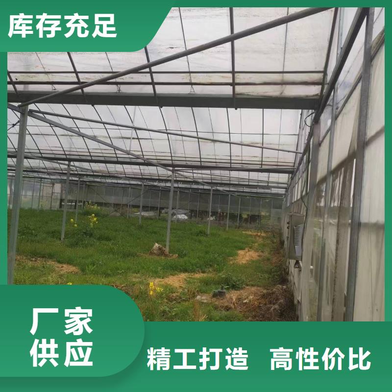 通城县草莓大棚PO膜10年经验