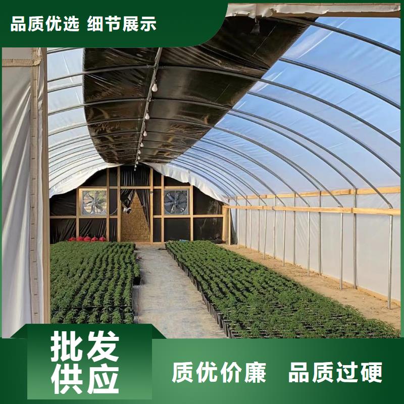 隆化县大棚钢管一亩什么价格良心厂家
