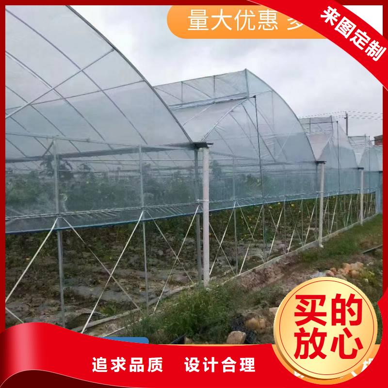 通城县草莓大棚PO膜10年经验