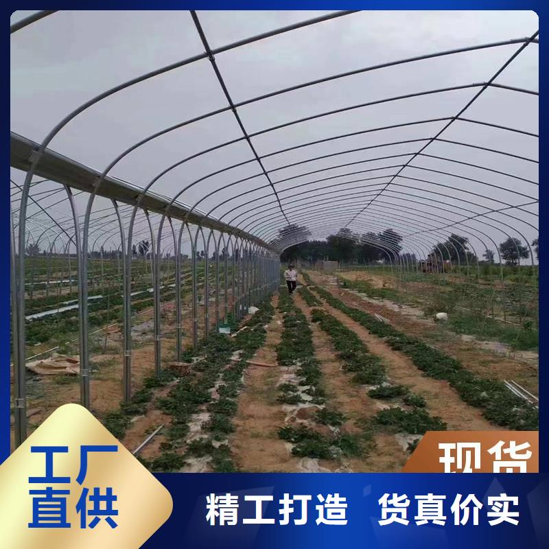县葡萄大棚钢管厂家直销
