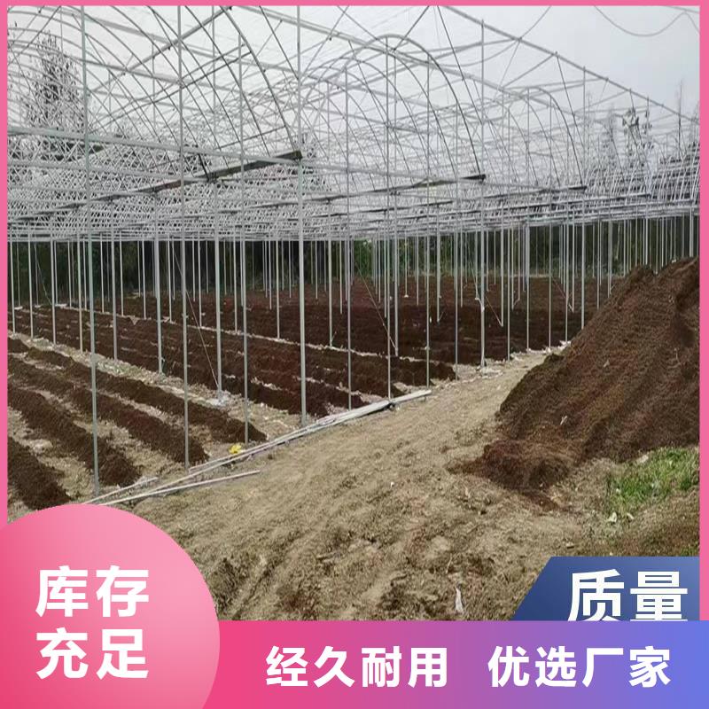葡萄大棚钢管货真价实
