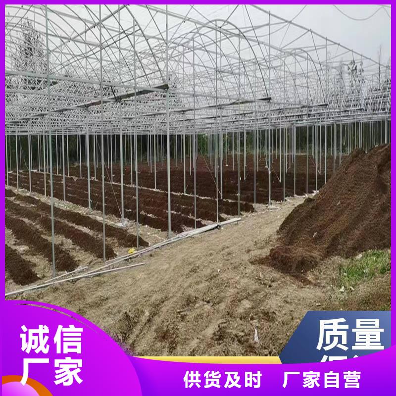 政和县大棚铝合金卡槽配件本地厂家金荣圣温室