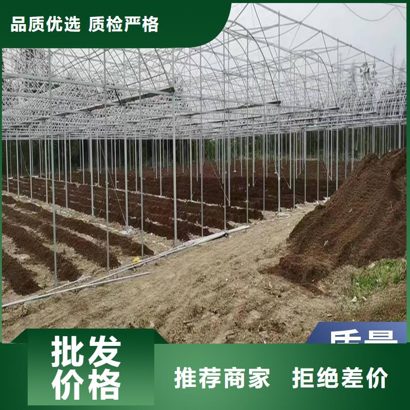 葡萄大棚钢管货真价实