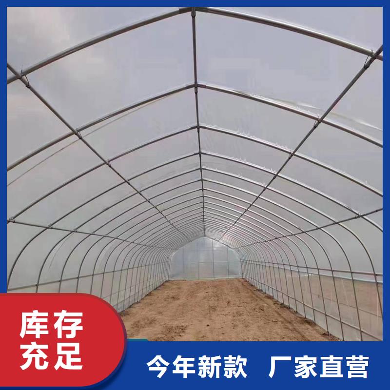 县葡萄大棚钢管厂家直销