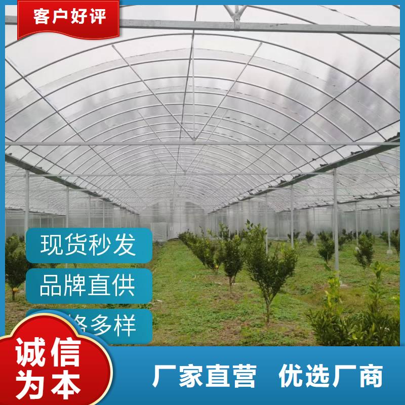 葡萄大棚钢管货真价实