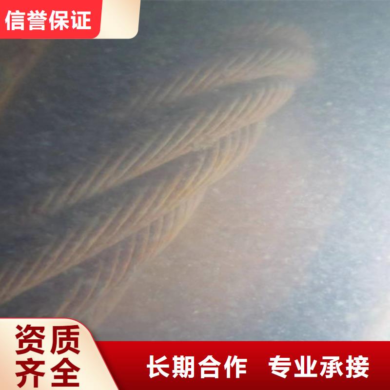 水下闸门检查-视频-陕西省榆林市|佳县|府谷|延安|西安|铜川|汉中|商洛水下闸门检查-粤龙