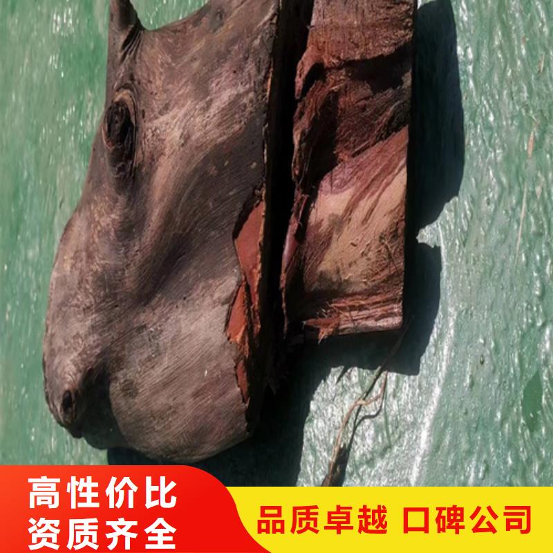 船底探摸欢迎咨询
