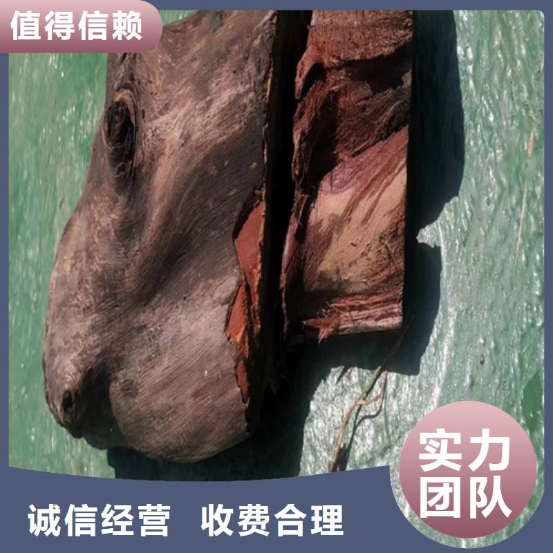 水下测量欢迎电询