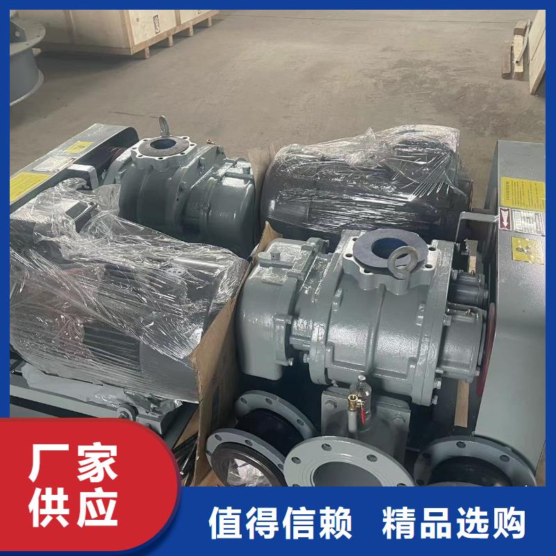 山东临风科技股份有限公司两叶罗茨风机LFSR200