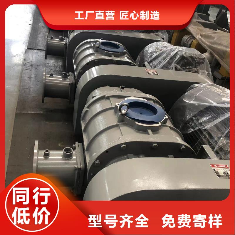 山东临风三叶罗茨鼓风机LFSR300