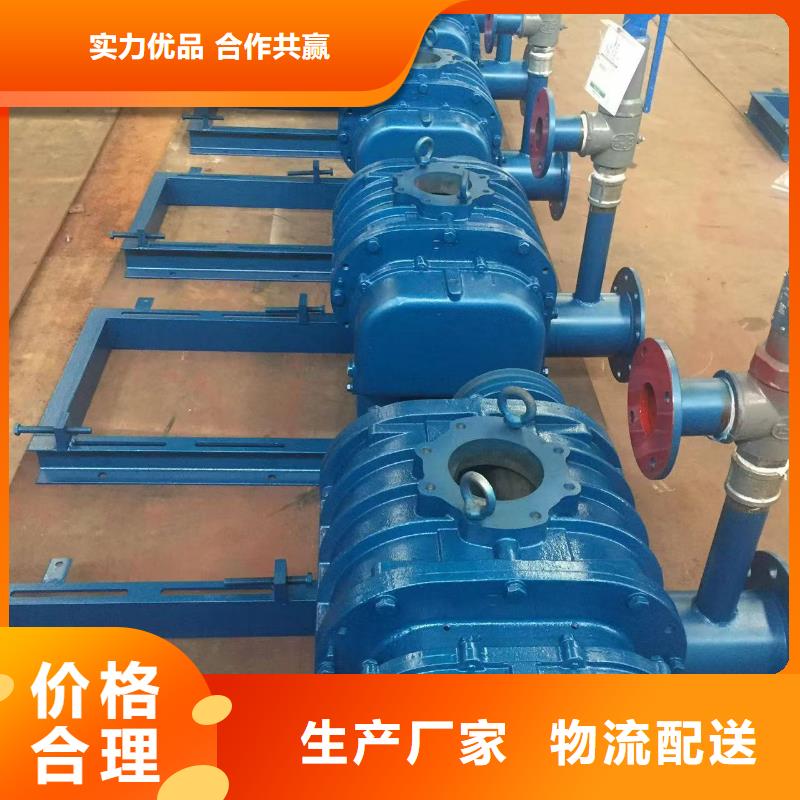 2025两叶罗茨风机LFSR200
