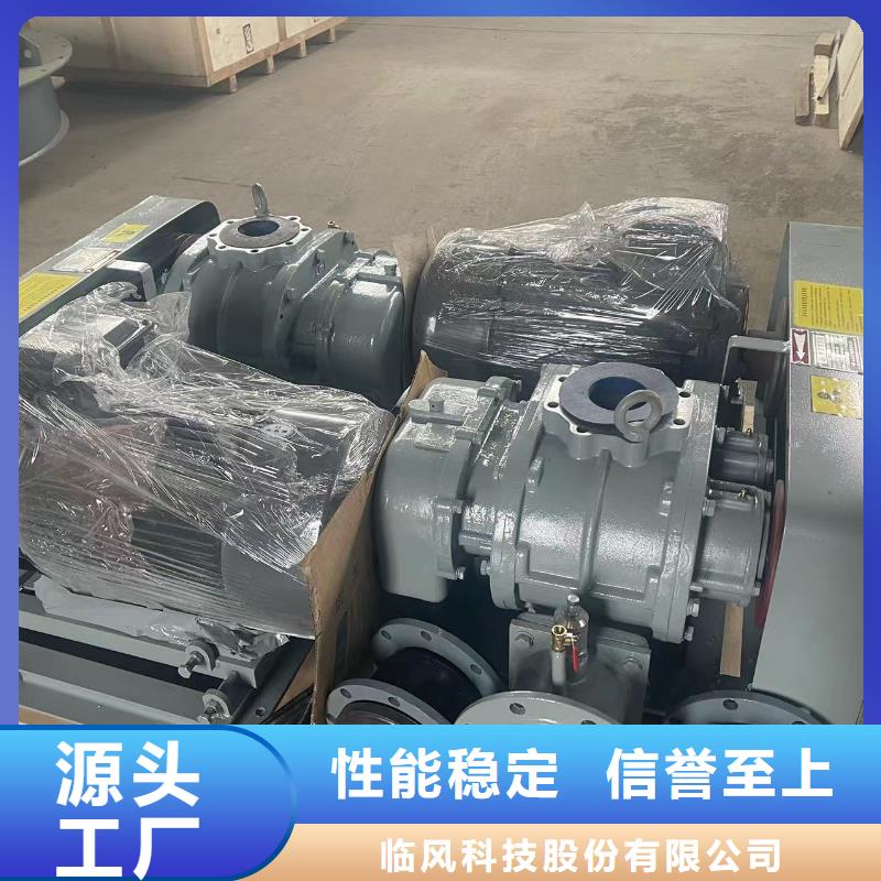 山东临风三叶罗茨鼓风机LFSR300