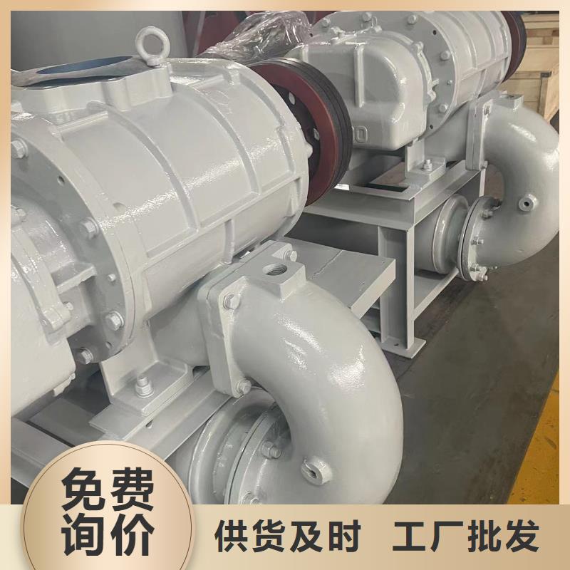 山东临风科技股份有限公司两叶罗茨风机LFSR200