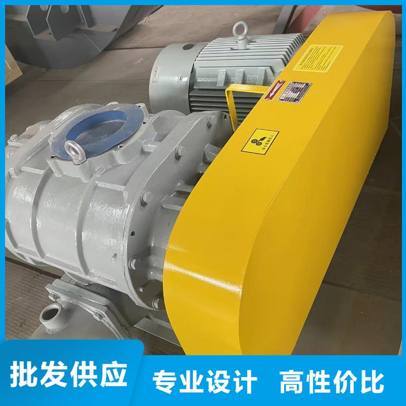 2025两叶罗茨风机LFSR200