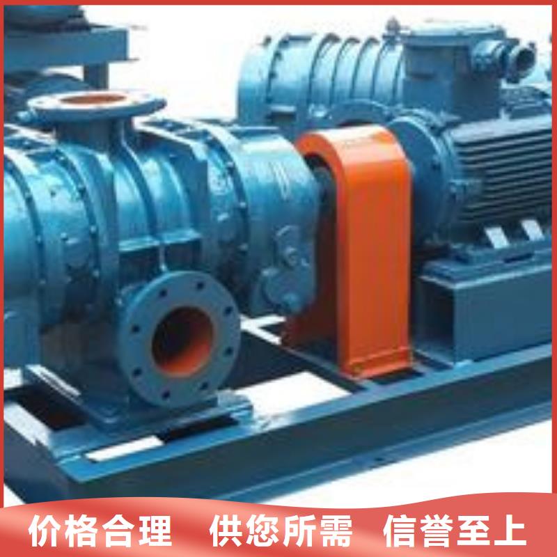 山东临风科技股份有限公司两叶罗茨风机LFSR200