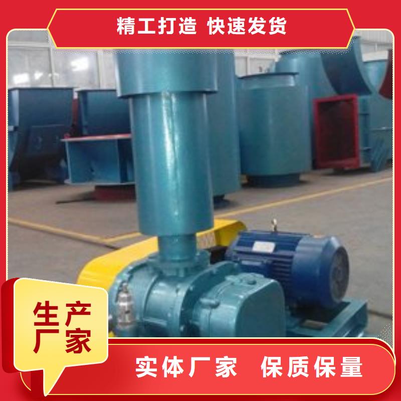 山东临风科技股份有限公司两叶罗茨风机LFSR200