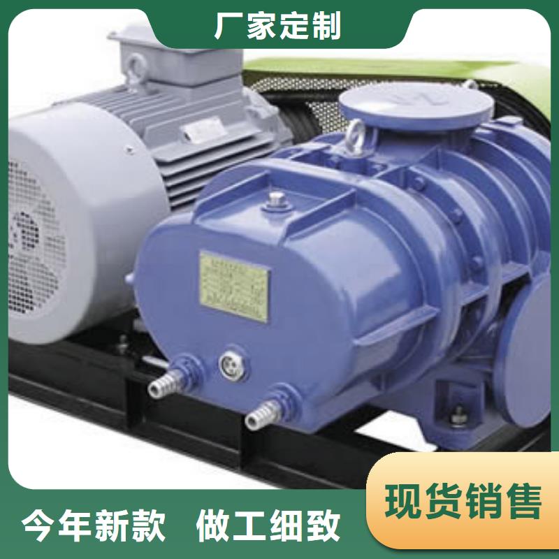 2025两叶罗茨风机LFSR200