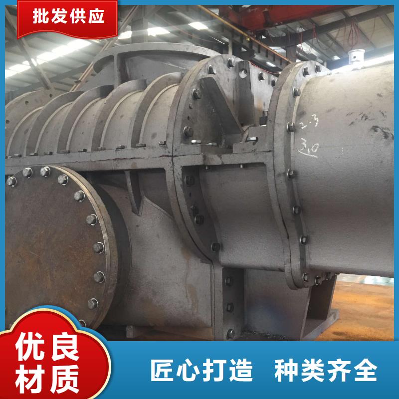 2025两叶罗茨风机LFSR200