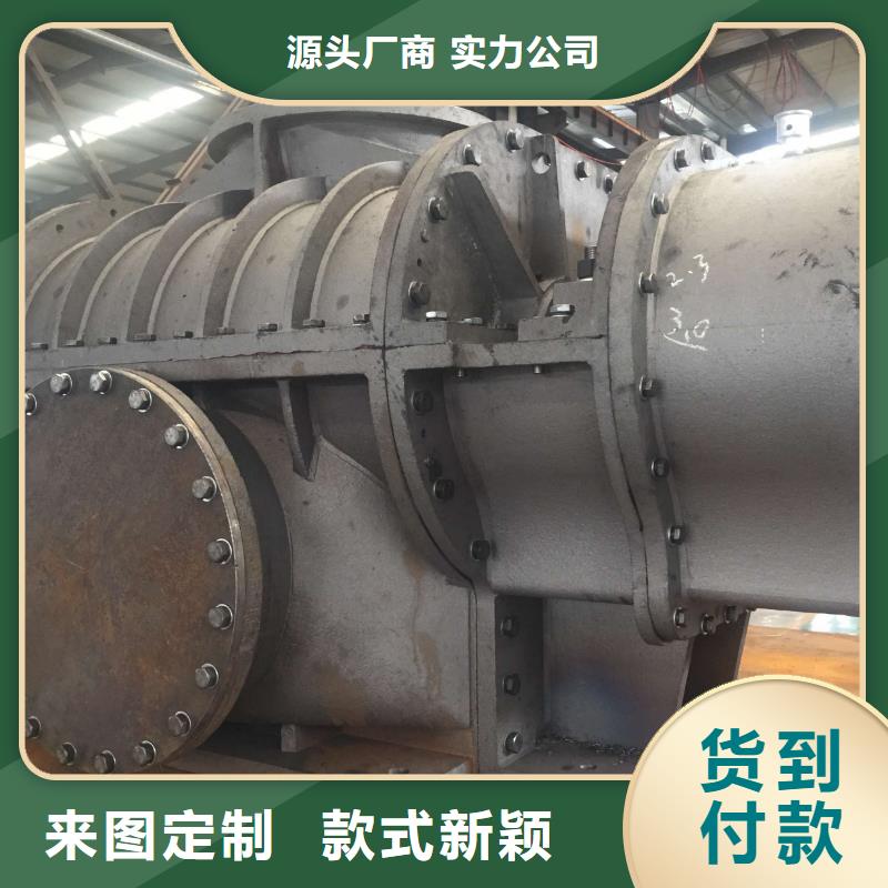 山东临风科技股份有限公司两叶罗茨风机LFSR200