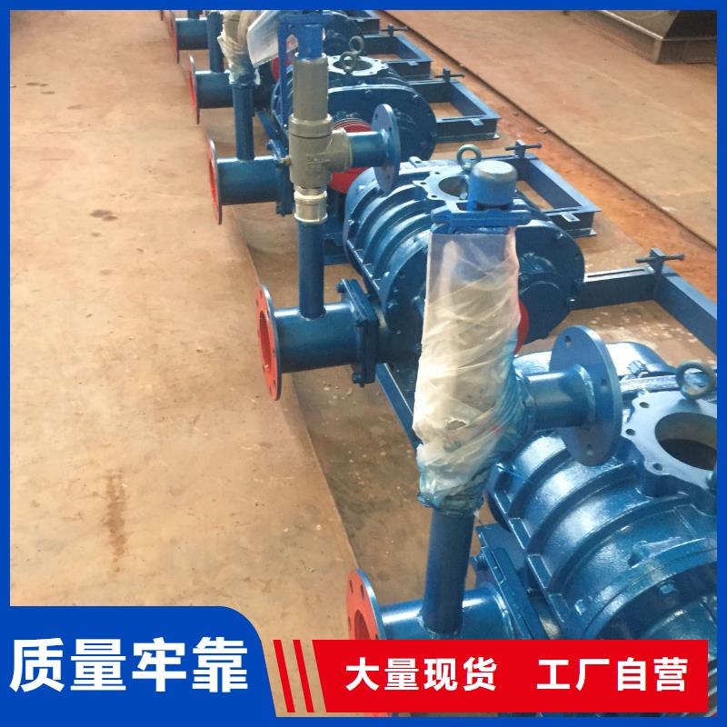 2025两叶罗茨风机LFSR200