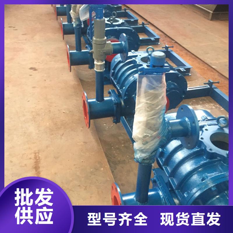 山东临风三叶罗茨鼓风机LFSR300