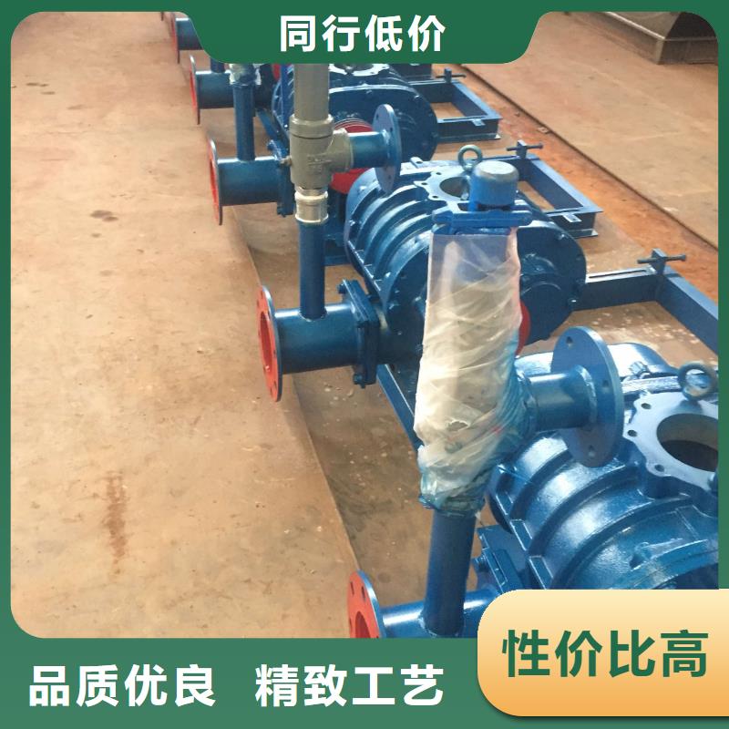 2025两叶罗茨风机LFSR200