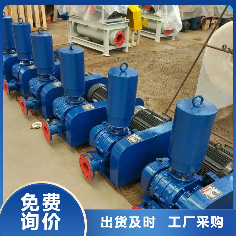 山东临风科技股份有限公司两叶罗茨风机LFSR200