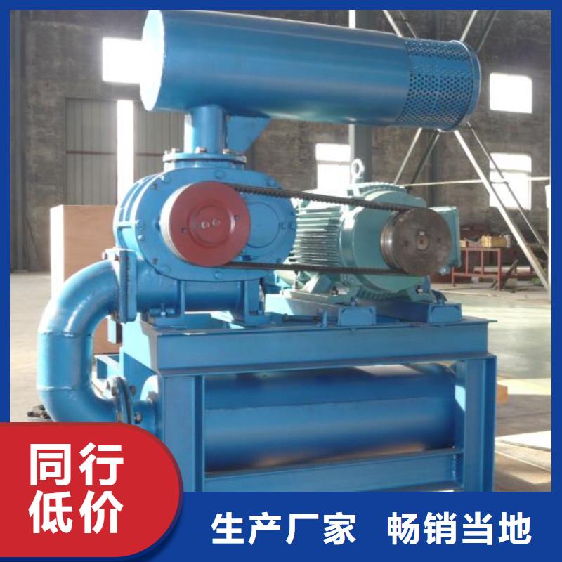 山东临风三叶罗茨鼓风机LFSR300