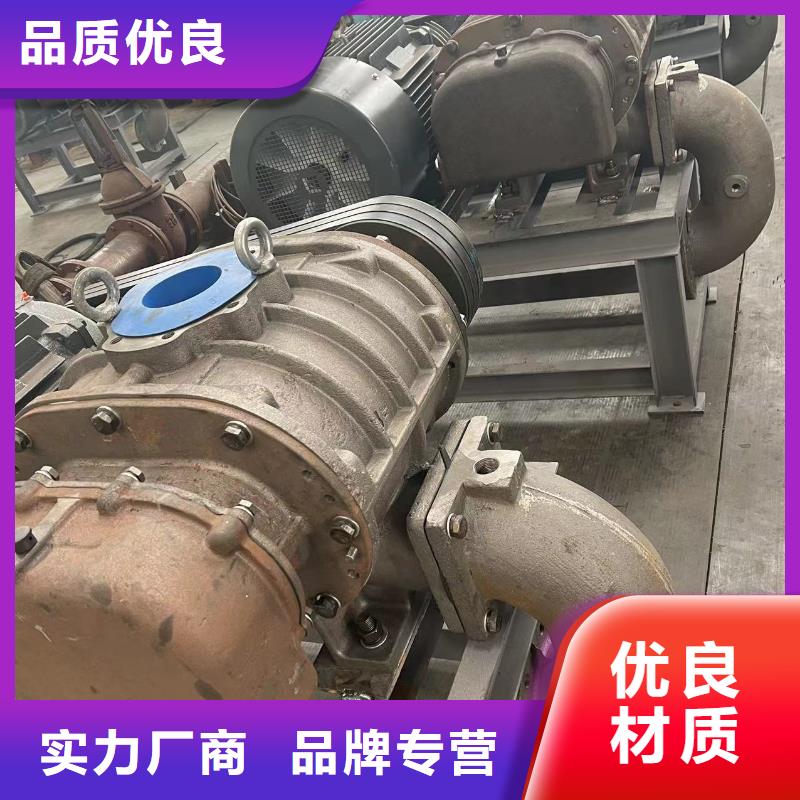2025两叶罗茨风机LFSR200