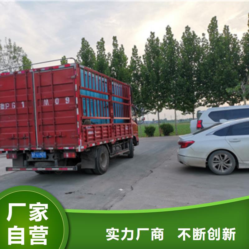 环保发电机出租可并网可并机
