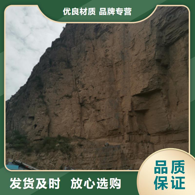 10千伏中压车出租并机并网