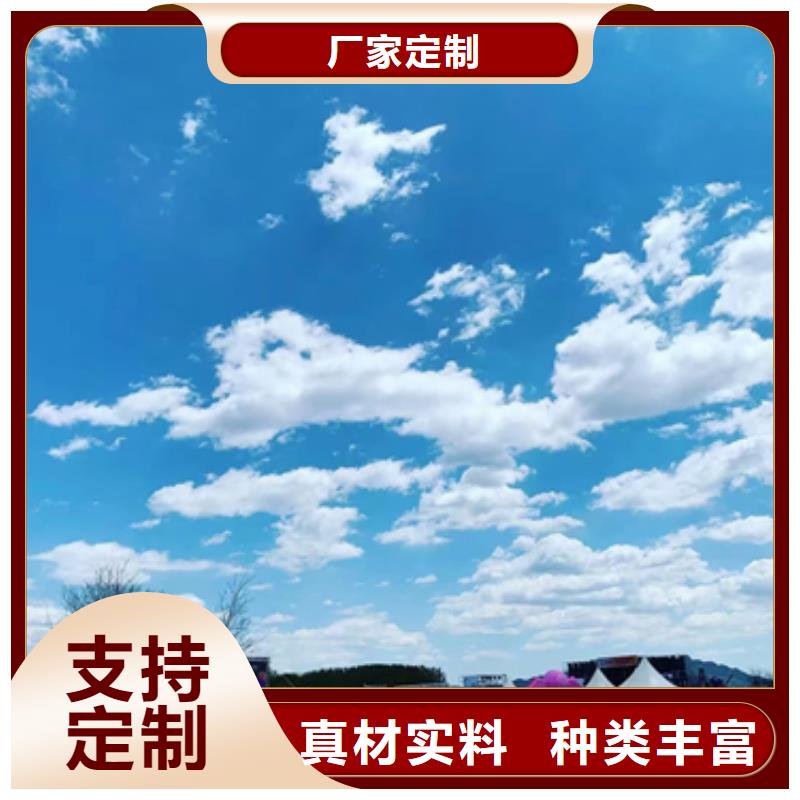 箱变租赁发货及时售后完善