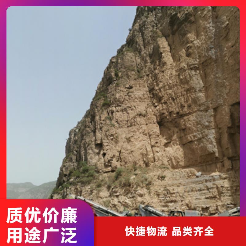 UPS电源租赁发货及时售后完善