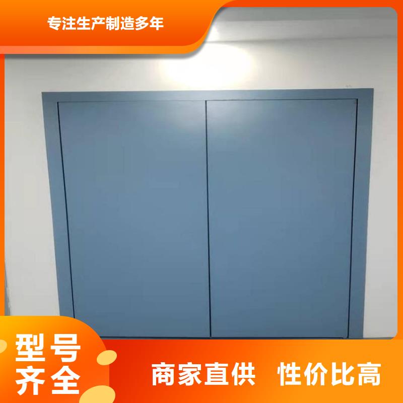 专业厂家直销射线防护铅门