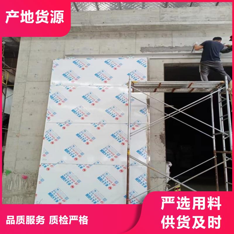优质SRT铅门的当地厂家