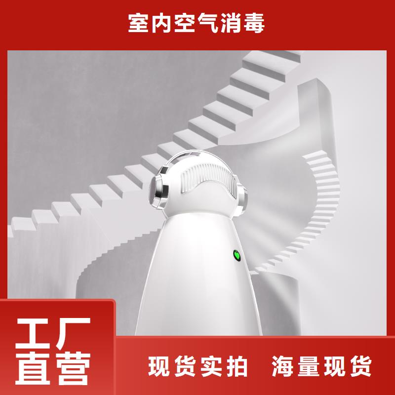 小白祛味王小白空气守护机器人厂家畅销当地
