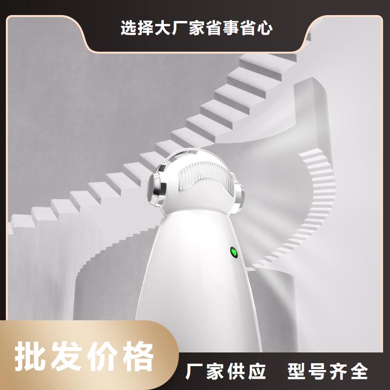 小白祛味王智能空气净化器当日价格