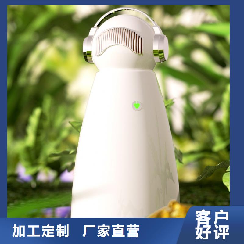 小白祛味王室内消毒好品质售后无忧