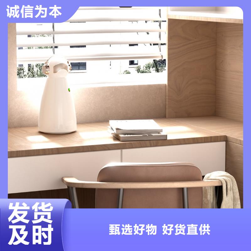 小白祛味王智能空气净化器厂家服务周到