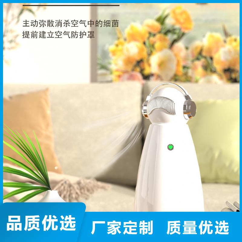 小白祛味王智能空气净化器厂家服务周到