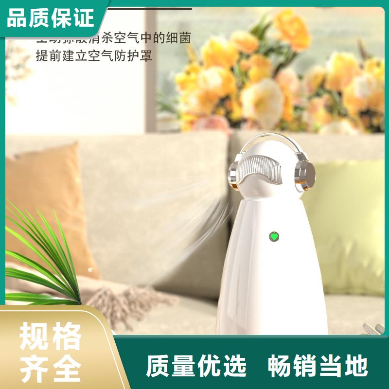 小白祛味王室内消毒好品质售后无忧