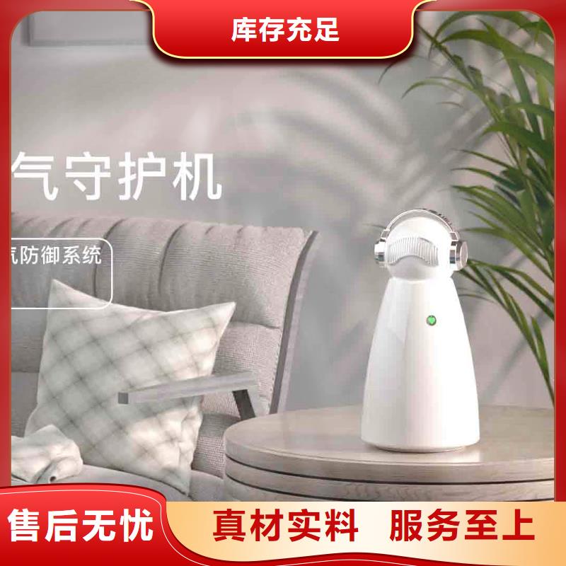 小白空气守护机价格-视频-小白空气守护机价格|韶关市|曲江|仁化|珠海|湛江|梅州|汕头|河源