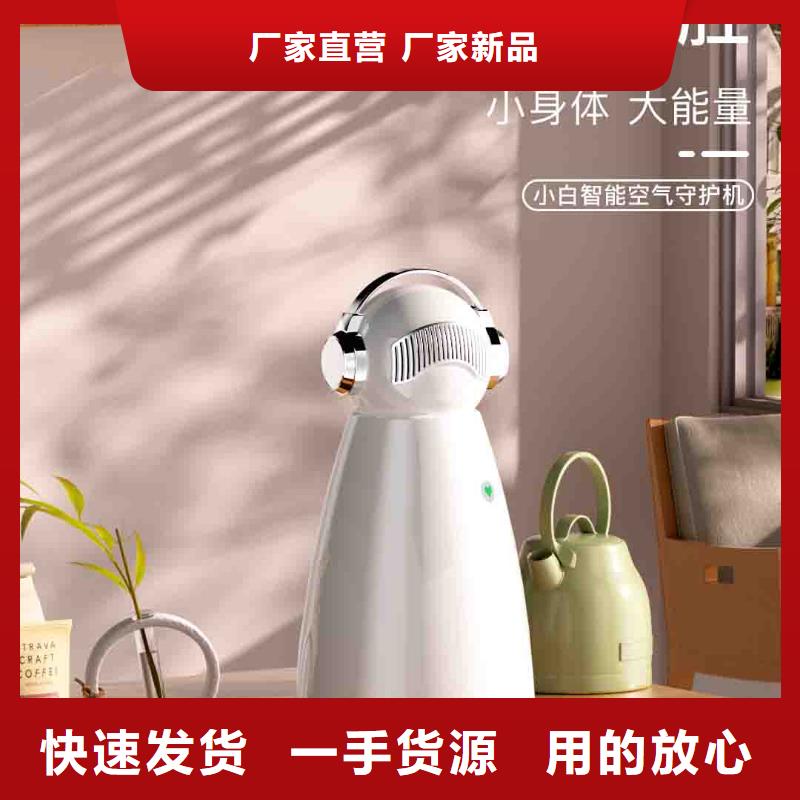 小白孕妇空气守护机小白空气守护机器人支持大批量采购