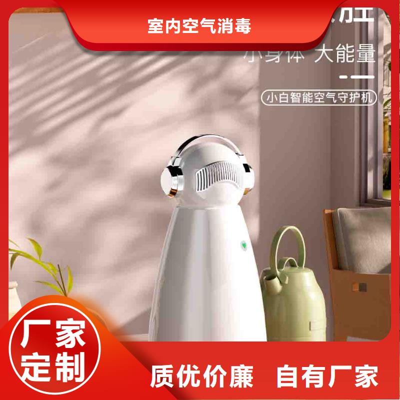小白孕妇空气守护机供应智能空气净化器定制销售售后为一体